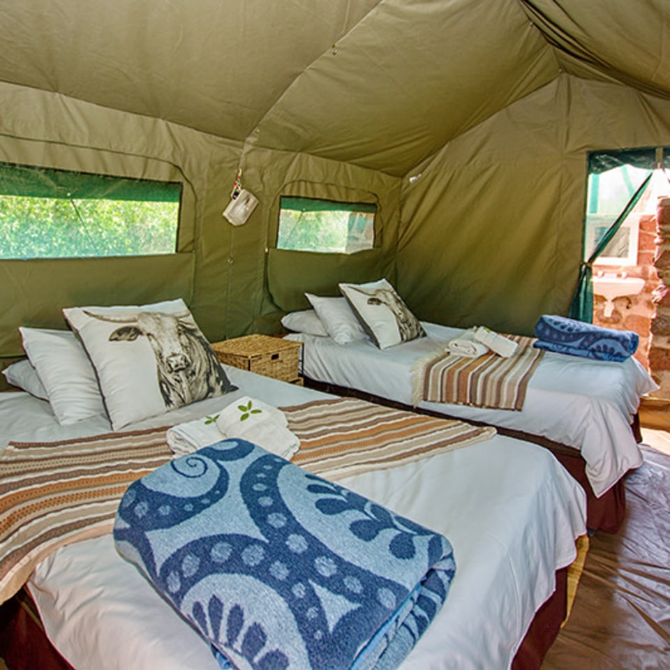 Brandberg White Lady Lodge